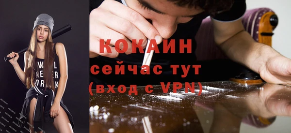 кокс Дмитриев