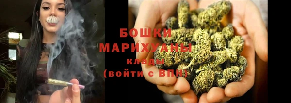 apvp Дмитров