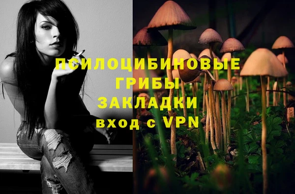 кокс Дмитриев