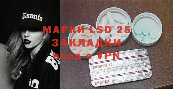 apvp Дмитров