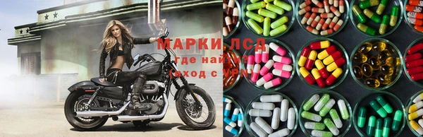 apvp Дмитров