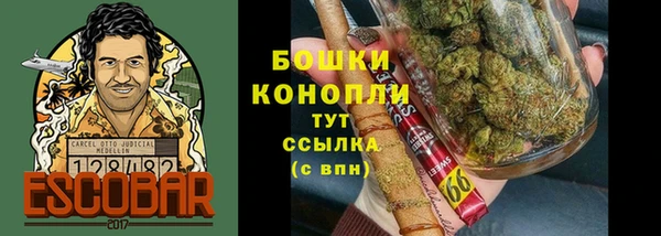 трава Елабуга
