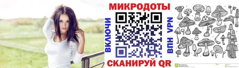 Псилоцибиновые грибы прущие грибы  Купить закладки  Бежецк 